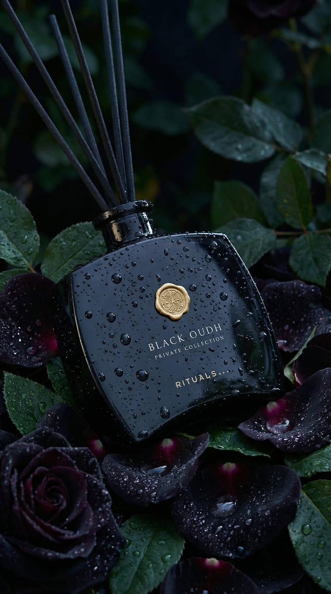 Black Oudh Diffuser Water Droplets Roses