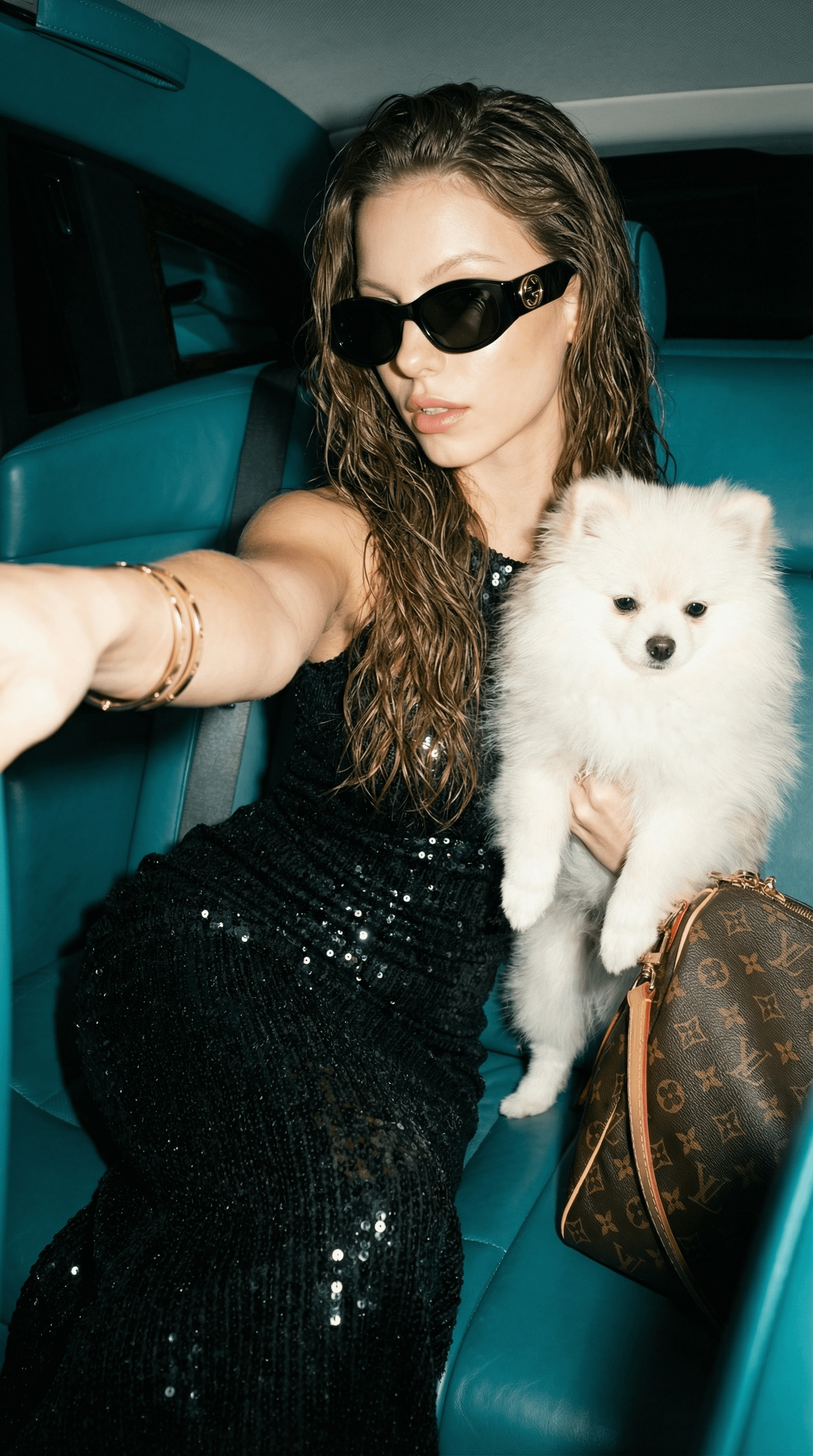 Luxury Car Night Sparkle Woman Dog Pose
