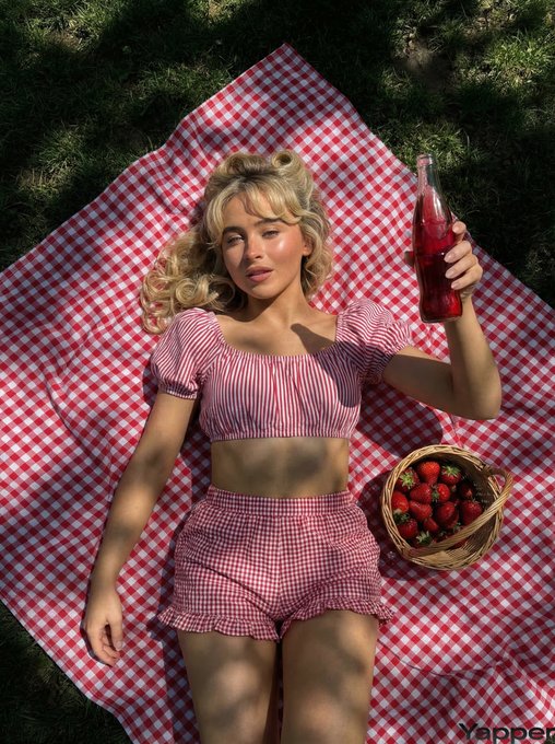 Picnic Blanket Woman Striped Top Gingham Shorts Dappled Light