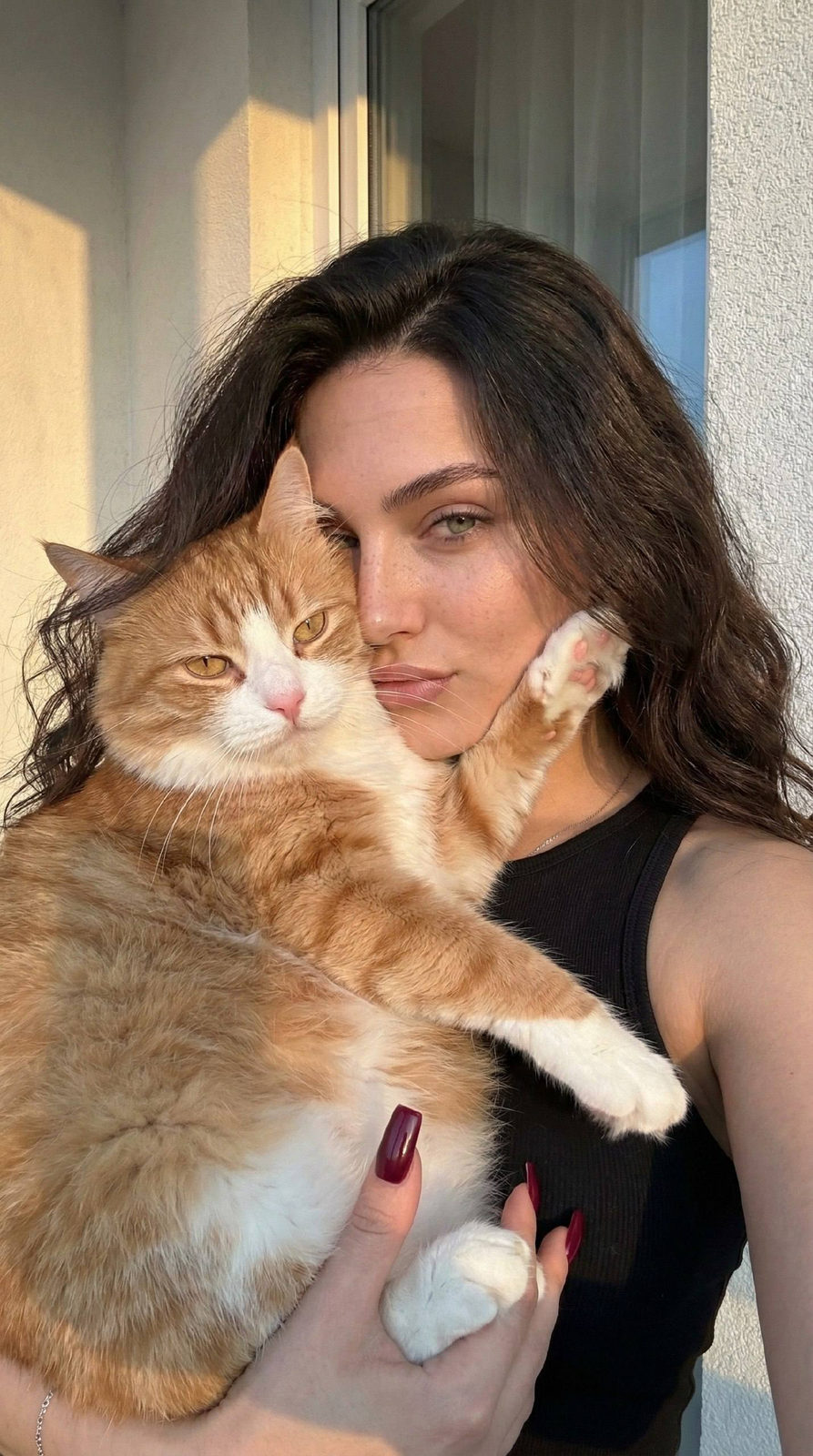 Woman Holding Fluffy Cat Warm Light