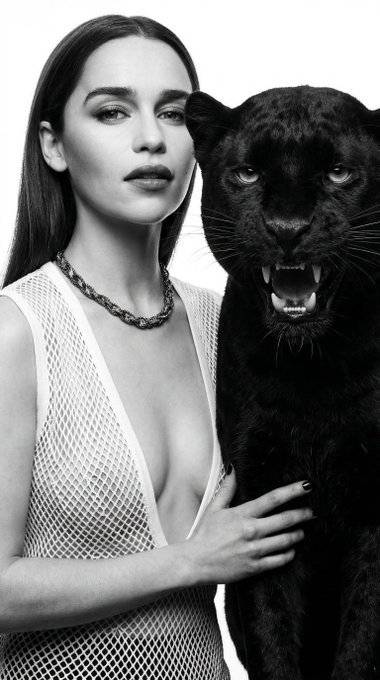 Touching Panther Black White Studio Lighting