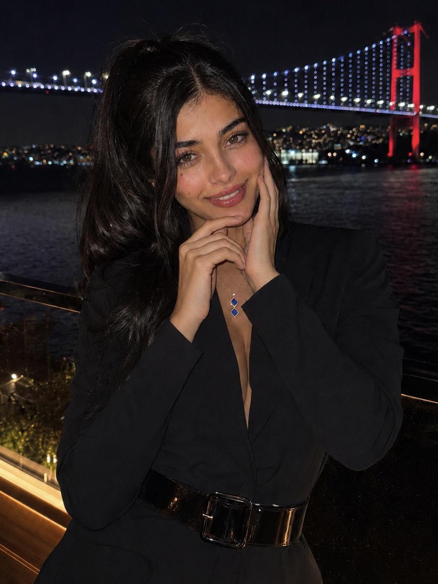 Istanbul Terrace Night Bosphorus Bridge View reference photo