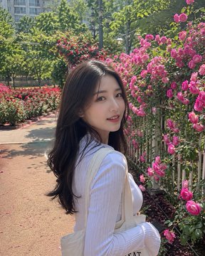 Long Sleeved In Vibrant Rose Garden